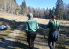 Journée forêt