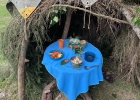 Camp d'été Troupe 2024 - Grolley