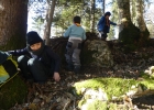 Journée forêt