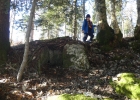 Journée forêt