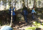 Journée forêt