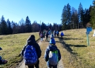 Journée forêt
