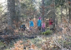 Journée forêt