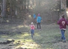Journée forêt