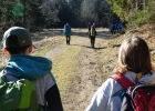 Journée forêt