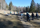 Journée forêt