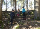Journée forêt