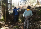 Journée forêt