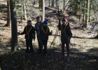 Journée forêt