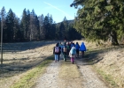 Journée forêt